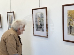 Самоков - Художествена галерия - Елена Белстойнева - изложба