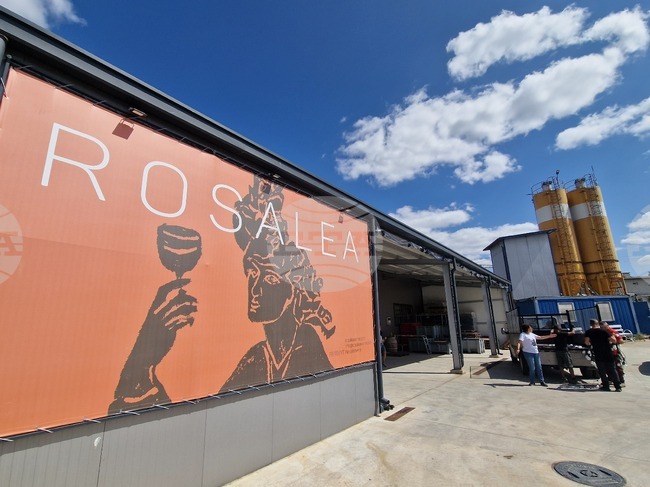 Rosalea Winery: Czech Investors Develop Winemaking in Harmanli 