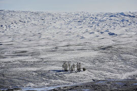 Pictures of the Week Global Photo Gallery