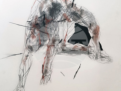 Явора Петрова се завръща към черното и бялото с изложбата Cum Figuris. Снимка: СБХ