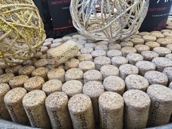 Благоевград - Винарска изба "Логодаж"