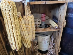 Благоевград - Винарска изба "Логодаж"