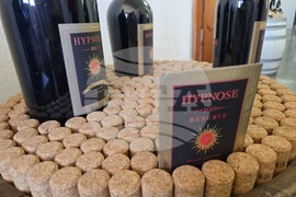 Благоевград - Винарска изба "Логодаж"