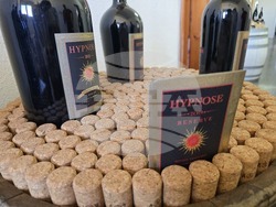 Благоевград - Винарска изба "Логодаж"