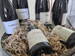 Благоевград - Винарска изба "Логодаж"