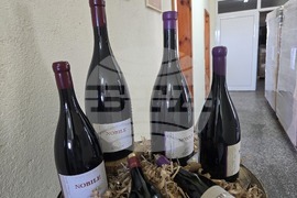 Благоевград - Винарска изба "Логодаж"