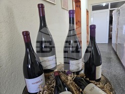 Благоевград - Винарска изба "Логодаж"