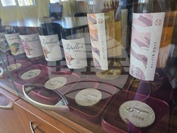 Благоевград - Винарска изба "Логодаж"