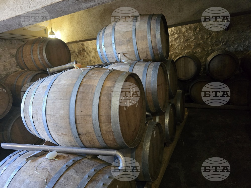 Благоевград - Винарска изба "Логодаж"