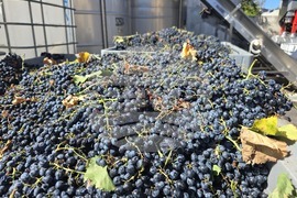 Благоевград - Винарска изба "Логодаж"