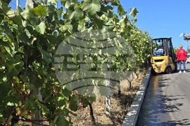 Благоевград - Винарска изба "Логодаж"