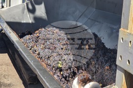 Благоевград - Винарска изба "Логодаж"