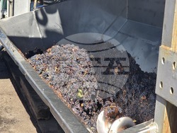 Благоевград - Винарска изба "Логодаж"