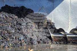 Благоевград - Винарска изба "Логодаж"