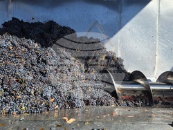 Благоевград - Винарска изба "Логодаж"