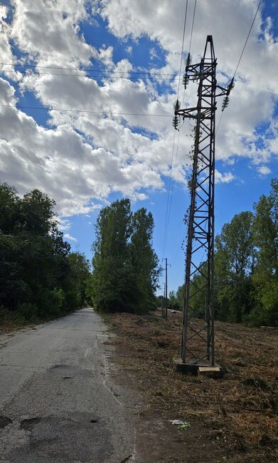 ОА Русе: Продължават дейностите за маркиране на опасни дървета и почистване на просеки около електропроводите в Русенско преди зимния сезон