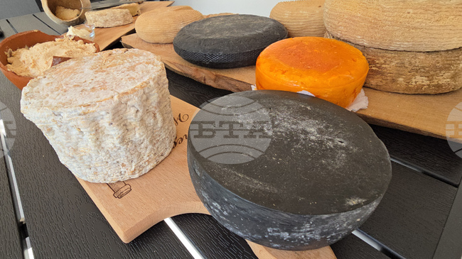 Търговията на ЕС със селскостопански хранителни продукти достигна нови рекордни нива през 2025 г.