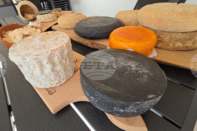 Търговията на ЕС със селскостопански хранителни продукти достигна нови рекордни нива през 2025 г.