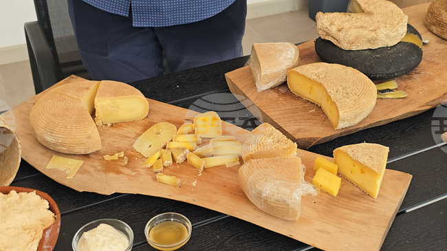 Homemade Cheese Festival Brings Together Cheesemakers from Bulgaria and the Balkans in Cherni Vit