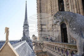 France Notre Dame Cathedral