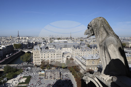 France Notre Dame Cathedral