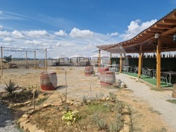 Велико Търново - Село Арбанаси - Лозаро-винарски атракцион „Новите лозя“