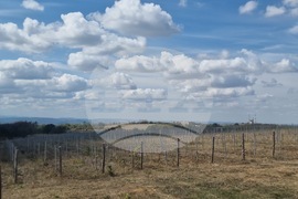Велико Търново - Село Арбанаси - Лозаро-винарски атракцион „Новите лозя“
