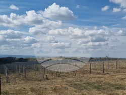 Велико Търново - Село Арбанаси - Лозаро-винарски атракцион „Новите лозя“