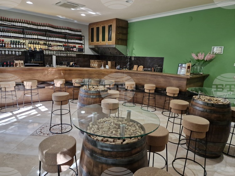 Old School Wine: A Boutique Winery Blending Tradition, Craftsmanship and Innovation in Yalovo