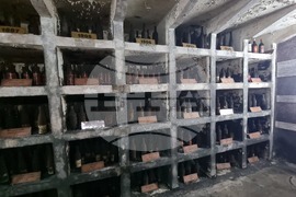 Плевен - Институт по лозарство и винарство - винопроизводство