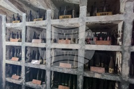 Плевен - Институт по лозарство и винарство - винопроизводство