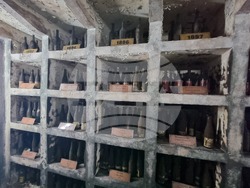 Плевен - Институт по лозарство и винарство - винопроизводство