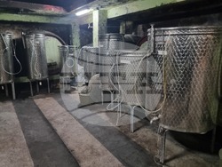 Плевен - Институт по лозарство и винарство - винопроизводство