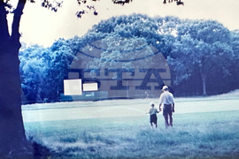 Ryder Cup Young Golf