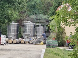 Видин - винарска изба „Боровица“ - нова реколта Гаме Ноар