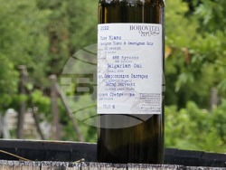 Видин - винарска изба „Боровица“ - нова реколта Гаме Ноар