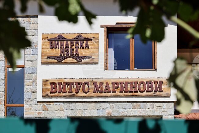 Подмяна на конструкции в лозето и закупуване на нова техника за неговата обработка са сред дейностите, върху които се фокусира винарска изба "Витус Маринови" 