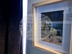 Бургас - изложба "Североизточно" - Мариана Сърбова