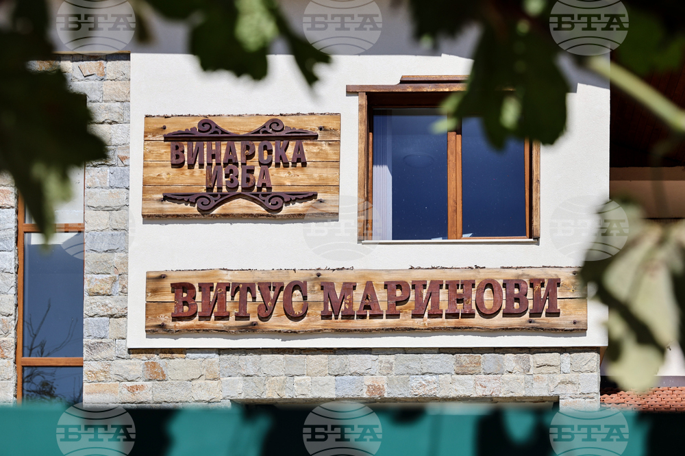 Село Долнослав - Винарска изба „Витус Маринови“