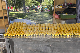 Сливен - фестивал Стоте войводи - 2025 година