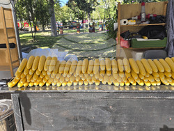 Сливен - фестивал Стоте войводи - 2025 година