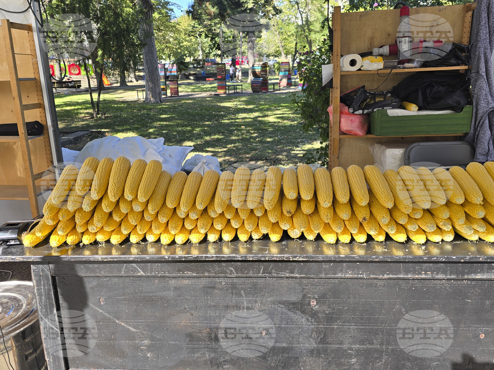 Сливен - фестивал Стоте войводи - 2025 година