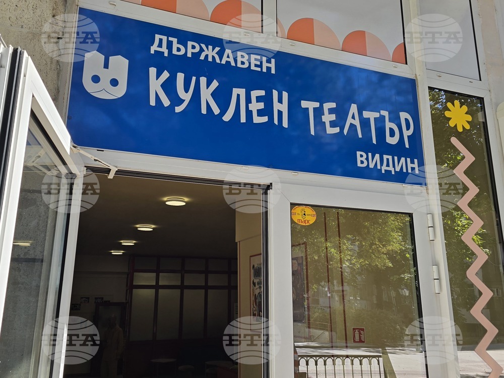 Видин - куклен театър - „Малкото мравоядче“ - премиера