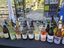 Сливен - фестивал Стоте войводи - 2025 година