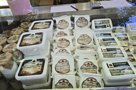 Сливен - фестивал Стоте войводи - 2025 година