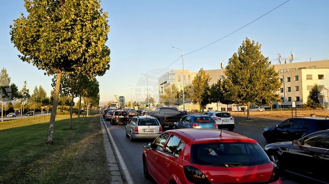 Energy Consumption in Transport Sector Increases 5.44% in 2024 Y/Y