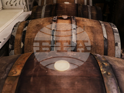 Село Тополово - Винарна „Тополово“