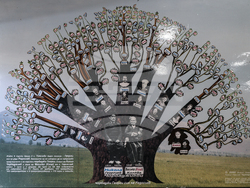 Село Тополово - Винарна „Тополово“