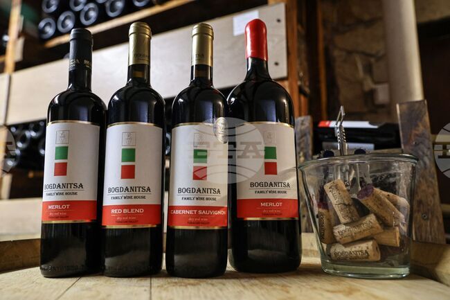 Построяване на нова изба за отлежаване на вина и закупуване на техника планира винарска къща "Богданица" по спечелен проект