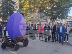 Троян - Български фестивал на сливата - откриване - дефиле